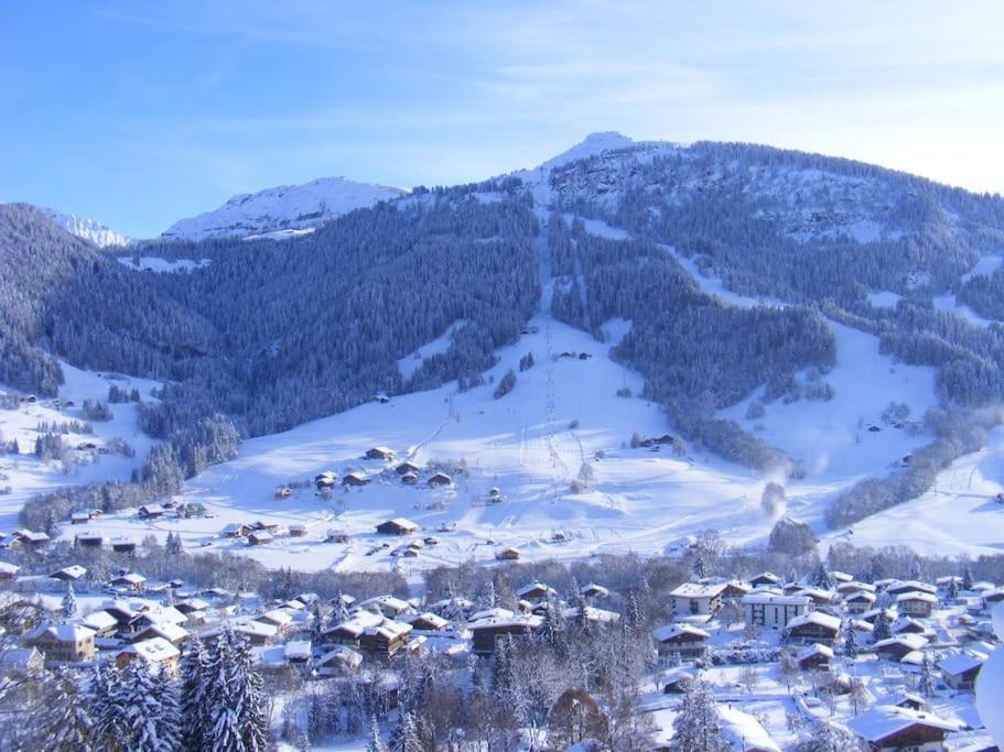 Ideal Pour Famille. Appartement Praz-sur-Arly