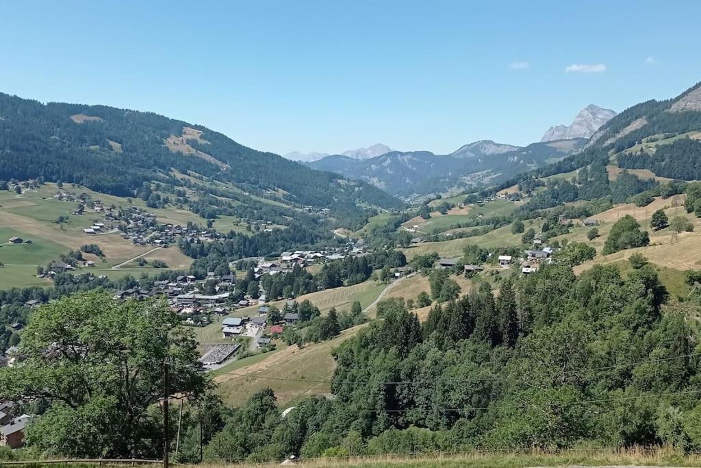 Ideal Pour Famille. * Praz-sur-Arly
