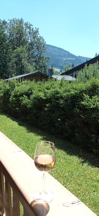 Ideal Pour Famille. * Praz-sur-Arly